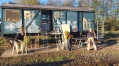 Bild 14